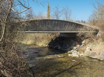 Randonnée A pied Baar - Baar - Walterswil - Photo