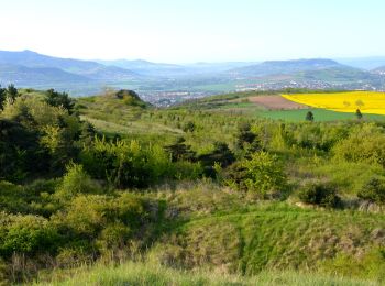 Excursión Senderismo Cournon-d'Auvergne - Cournon_Allier_Puy_Bane - Photo