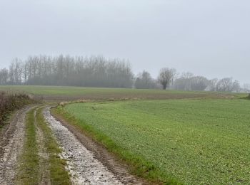 Tour Wandern Geraardsbergen - Zandbergen 15,5 km - Photo