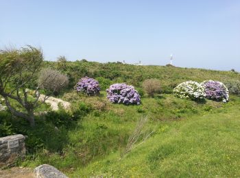 Trail Walking Ushant - Lampaul - tour nord d'Ouessant - Photo