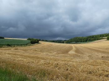 Percorso Marcia Tournehem-sur-la-Hem - Tournehem sur la Hem - Photo