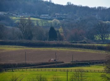 Percorso A piedi Somerset West and Taunton - Herepath Trail - Blagdon Hill - Photo