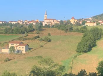 Randonnée Marche Brullioles - Reco brullioles 2 - Photo