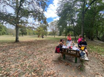 Tocht Kanoën - kajakken Villandraut - Descente du coton - Photo