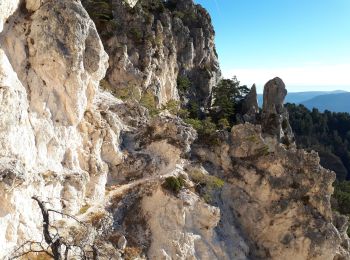 Tocht Stappen Toudon - Baisse des Colettes et Mt Brune de Toudon - Photo