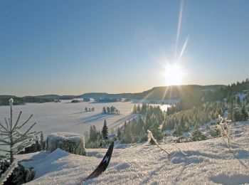 Trail On foot  - Kjerratstien - Photo