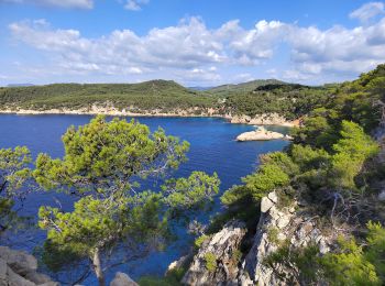 Tocht Stappen Bandol - Petit tour depuis Bandol  vers port d'Alon - Photo