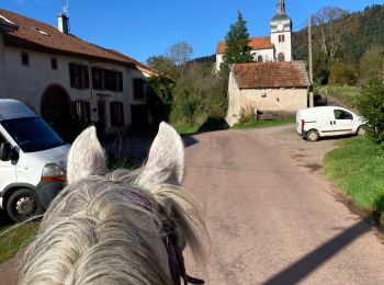 Randonnée Randonnée équestre Moyenmoutier - Chez Manu saint jean d’ormont - Photo