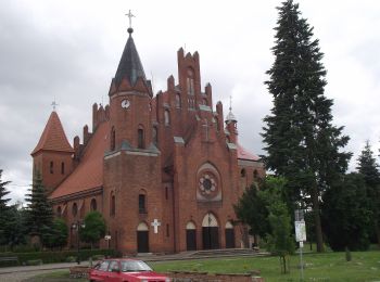 Tocht Te voet Miłomłyn - Ścieżka spacerowa - Photo