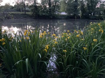 Tour Wandern Bellerive-sur-Allier - Bellerive  - Photo