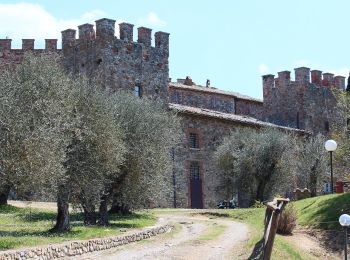 Trail On foot Rapolano Terme - IT-530 - Photo