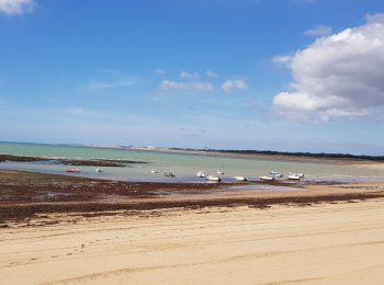 Tour Hybrid-Bike Saint-Gilles-Croix-de-Vie - 85 - St Gilles-croix-de-vie à St-Jean-de-Monts - Photo