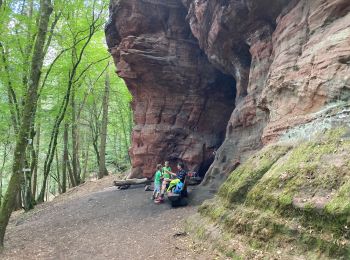 Randonnée Marche Kordel - Kordel ramstein burg 23 km - Photo