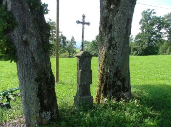 Percorso A piedi Durach - Durach: Bodelsberg-Runde - Photo