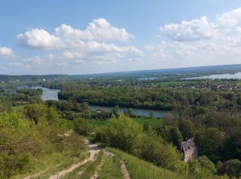 Randonnée Marche Amfreville-sous-les-Monts - 20230502 Amfreville sous les Monts - Photo