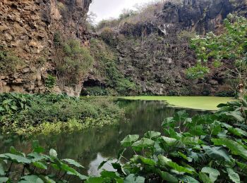 Tour Zu Fuß Saint-Paul - Boucle Moulin Kader - Photo