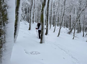 Randonnée Raquettes à neige Le Valtin - Col de la Schlucht - Photo