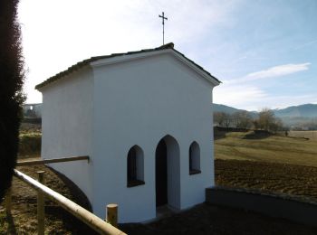 Trail On foot Olot - Volcà Racó i Parc Nou - Photo