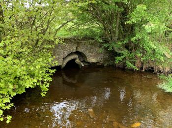 Trail Walking Neufchâteau - Longlier - marche chestrolaise 2019 10km - Photo