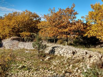 Tour Wandern Lanas - Rte Lanas-Balazuc - Photo