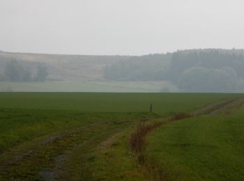 Randonnée Marche Bastogne - RB-Lu-27_Lutrebois - Photo