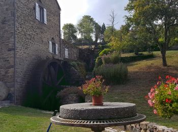 Excursión Senderismo Charbonnières-les-Vieilles - Charbonnieres_Moulins_Morge_1 - Photo