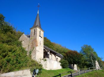 Trail Walking Chançay - Chançay - GR655ouest Compostelle et PR - 23km 320m 5h10 (20mn) - 2021 10 14 - Photo