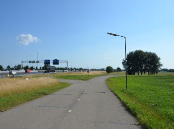 Percorso A piedi Hoeksche Waard - Het eiland rond, de oeverloop - Photo