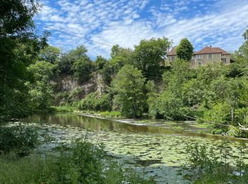 Excursión Senderismo Angles-sur-l'Anglin - Angles sur l’anglin-1 - Photo