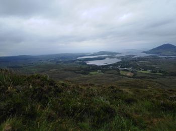 Tocht Stappen Conamara Municipal District - connemara national park - diamond hill - Photo
