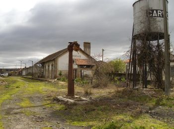 Tour Zu Fuß Carviçais - Rota da Capela dos Anjos - Photo