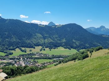 Tour Wandern Bernex - m'ont - Photo