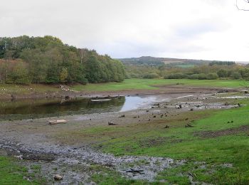 Tour Zu Fuß Commana - Tour du Lac du Drennec - Photo