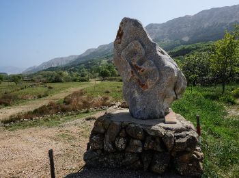 Excursión A pie  - Baška - Stara Baška - Photo