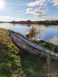 Randonnée Marche Eijsden-Margraten - Promenade dans la réserve naturelle d’Eijsder Beemden - Photo