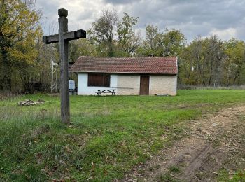 Randonnée Marche Merrey-sur-Arce - Bouhey - Photo