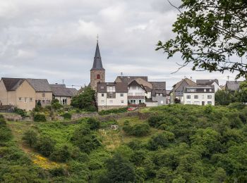 Tour Zu Fuß Patersberg - Rheinsteig-Zuweg Reichenberg - Photo