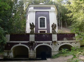 Percorso A piedi Bakov nad Jizerou - Bělá p. Bezdězem (žst., rozc.) - Klokočka - Photo