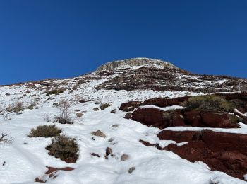 Randonnée Raquettes à neige Rigaud - Tête de Rigaud - Photo