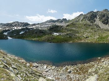 Tocht Te voet Zernez - Zernez-Macun - Photo