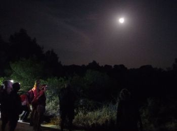 Excursión Senderismo Castelnau-de-Guers - nuit  - Photo