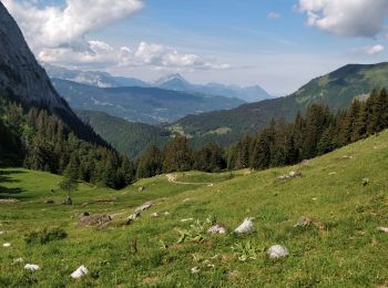 Percorso Marcia Samoëns - Les Allamands lac des Verdets - Photo