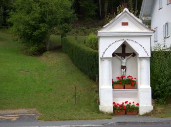 Tocht Te voet Ollersdorf im Burgenland - Großer Vitalwanderweg (Stegersbach) - Photo