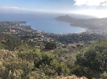 Randonnée Marche Mandelieu-la-Napoule - de Mandelieu à Boulouris - Photo