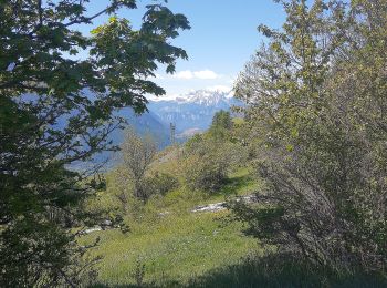 Excursión Senderismo Puy-Saint-Pierre - tour des puys par prorel et les combes - Photo