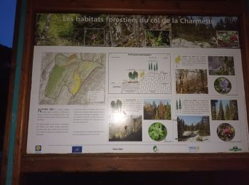 Trail Walking Saint-Pierre-de-Chartreuse - La Grande Sûre  - Photo