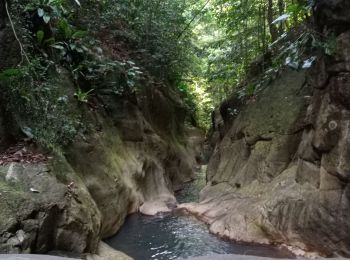 Randonnée Marche Pointe-Noire - Canyon Rivière Grand Plaine - Photo