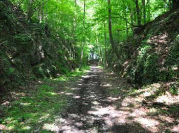 Trail Walking Profondeville - Burnot - Arbre - Annevoie - Photo