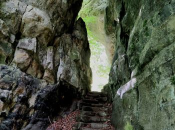 Tour Wandern Consdorf - Superbe promenade vers le Kuelscheier   - Photo