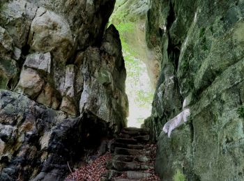 Excursión Senderismo Consdorf - Superbe promenade vers le Kuelscheier   - Photo